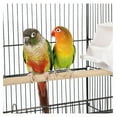 thumbnail image 4 of TYUIOP Open Play Top Bird Cage Parakeet Cage with Slide-Out Tray for Small Parrot Budgies Finches Canaries Lovebirds, 4 of 5
