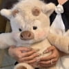 Light Coffee Cattle
