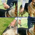 thumbnail image 2 of Pet Brush, Double-sided Comb For Cats And Dogs, 2 of 5