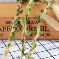 thumbnail image 6 of 10yards Artificial Leaf Jute Rope Cord String Gift Flower Packing Lace Ribbon DIY Wedding Garland Party Home Crafts Decoration (yellow,5mm), 6 of 6