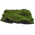 thumbnail image 1 of Miangastore 1Pcs Artificial Moss Mat Green Wool Pearl Cotton Square High Realism Reusable Easy Installation Indoor Decor, 1 of 8