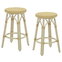 Furniture of America Tropaz Set of 2 26-in Outdoor Metal Bar Stool, Natural