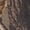 RealTree AP, variant on Realtree? Camo Long Sleeve T-Shirt (2 PACK)