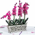 thumbnail image 4 of KALAKALA 3D Flower Bouquet Pop Up Mother's Day Card, with Daisy Delight Forever Flowers Keepsake, Gift for Mothers Day, Birthday, Graduation, Get Well, Thank You, All Occasion - Oversized 10", 4 of 4