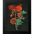 thumbnail image 2 of Wang, Melissa 15x18 Black Modern Framed Museum Art Print Titled - Pomegranate Study I, 2 of 5