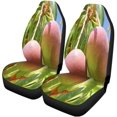 thumbnail image 2 of RYLABLUE Set of 2 Car Seat Covers Green Mango Mangoes Branch of Tree Ripe Fruit Plant Universal Auto Front Seats Protector Fits for Car,SUV Sedan,Truck, 2 of 5