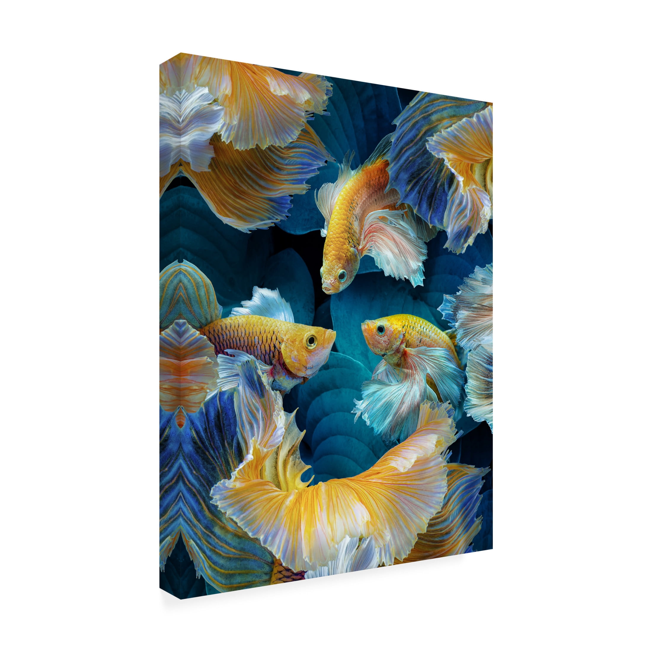 Trademark Fine Art Marcel Egger ColorFish Canvas Wall Art