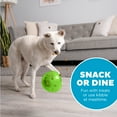 thumbnail image 5 of Outward Hound by Planet Dog Large Snoop Interactive Treat Dispensing Dog Toy, Puzzle Ball Slow Feeder for Medium to Large Dogs, Mint-Scented for Mental Stimulation & Boredom Relief, BPA-Free, Green, 5 of 8