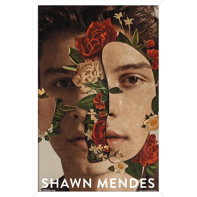 Shawn Mendes - Fleurs