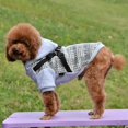 thumbnail image 5 of Naturalour Dog Jacket With Harness,Easy Walking And Soft Warm Sports Clothes Apparel, 5 of 5