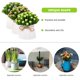 thumbnail image 3 of unbranded 3Ud Planta Artificial Bonsái Babys Breath Decorativa Para Oficina O, 3 of 6