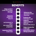 thumbnail image 3 of Nature's Pure Edge Milk Thistle Powder for Pets, Liver Support, 85g, 3 of 10