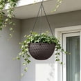 thumbnail image 6 of Honeycomb Hanging Planter Basket with Drainage Plug - Weather Resistant for Indoor Outdoor Balcony Patio Window Plants Herbs Flowers, 6 of 7