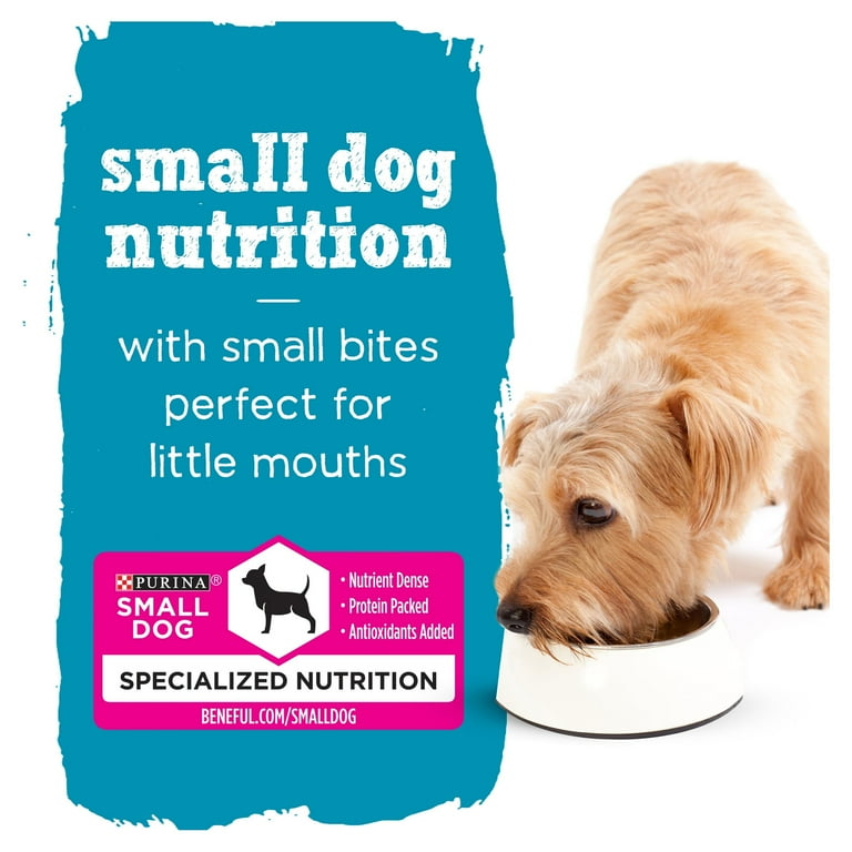 Beneful small bites clearance review