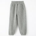 thumbnail image 2 of Piuwrlz Toddler Gray Jogger Pants Toddler Sweatpants Relaxed Fit Pant Gray Size 3-4Years, 2 of 4