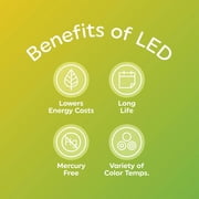 Great Value LED Light Bulb, 7.5 Watts (60W Equivalent) A19 Lamp E26 Medium Base, Non-Dimmable, Green, 2-Pack