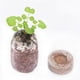 thumbnail image 3 of Pellets de iniciación de semillas comprimidas, 10 Uds., vainas nutritivas de fibra de coco, tierra para macetas, bloque de suelo para vivero sin turba, 3 of 5