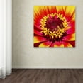 thumbnail image 4 of Trademark Fine Art "Floral Mass Coronal Ejection" Canvas Art by Kurt Shaffer, 4 of 4