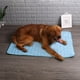 thumbnail image 3 of Estera de enfriamiento Manta de auto enfriamiento portátil Nylon Poliéster Transpirable para perro gato Hugtrwg Para estrenar, 3 of 9