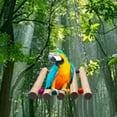 thumbnail image 1 of Parrot Trick Tabletop Toys Bird Training Basketball Stacking Rings Toy Kit Bird Puzzle Set, 1 of 4