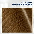 thumbnail image 3 of Clairol Root Touch-Up Nice'n Easy Permanent Hair Dye, 6G Light Golden Brown, Hair Color, 1 Kt, 3 of 14
