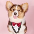 thumbnail image 3 of Perro Formal esmoquin boda perro Bandana Collar perro pajarita ajustable perro pajarita cuello Bandana para perros pequeños medianos grandes mascotas Zhivalor 220513-2, 3 of 4