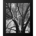 thumbnail image 2 of Harper, Ethan 12x14 Black Modern Framed Museum Art Print Titled - Classic Birch II, 2 of 5