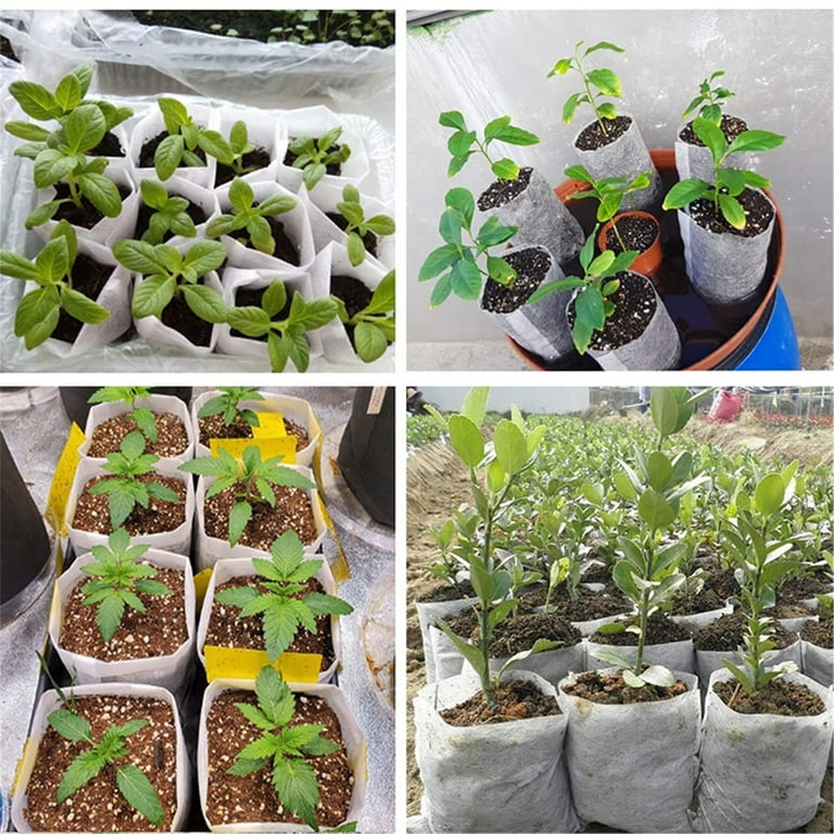 Garden Plant Bag-Compostable Plant Grow Bags- Go-Compost