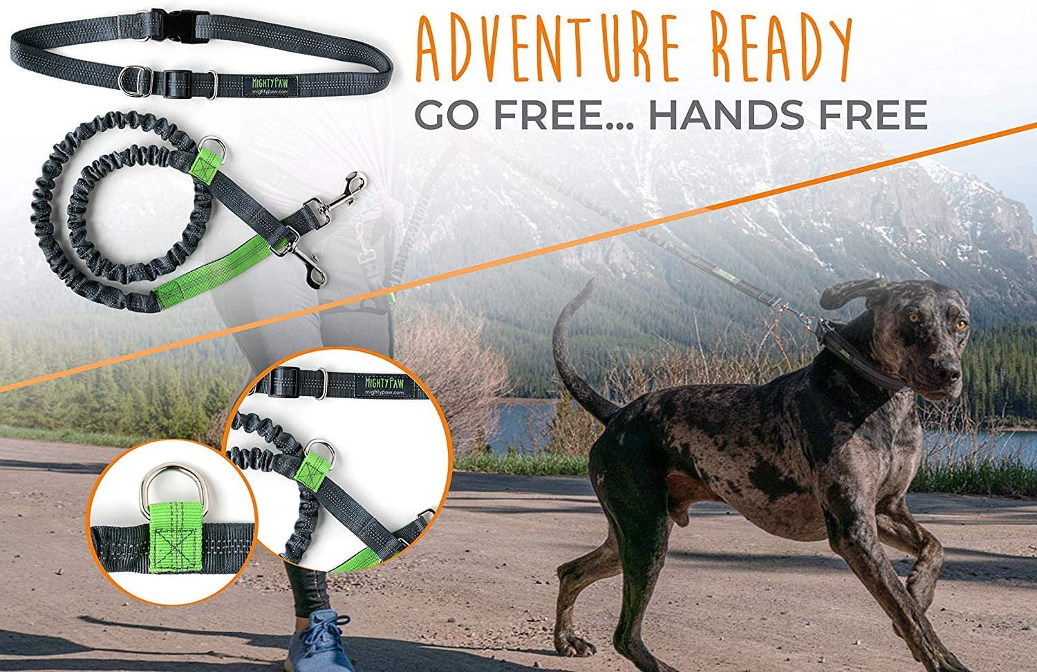 (2 pack) Mighty Paw Hands Free Dog Leash, Premium Running Dog Leash, Lightweight Reflective Bungee Dog Leash (Grey/Lime - 36 inch Bungee)