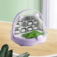 thumbnail image 1 of Caja de cría de gusanos de , contenedor para cría de animales pequeños, orificio transpirable con asa, contenedor para eclosión de gusanos de Violeta, 1 of 10