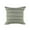 Green/White, variant on Ox Bay Bailey 24" x 24" Tan/White Striped Outdoor Adult Decorative Throw Pillow