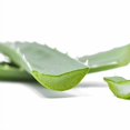 thumbnail image 4 of VEGANO Andmetics Tiras de cera para cejas para cejas más gruesas y llenas - Cejas - Depilación con aloe vera 8 TIRAS + 4 TOALLITAS CALMANTES - Tiras patentadas, 4 of 5
