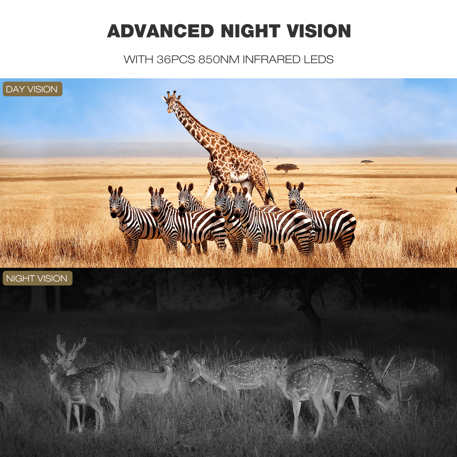 CAMPARK Trail Camera Wifi Bluetooth 30MP 4K Game Hunting Camera with 3 PIR Infrared Night Vision Waterproof IP66 for Wildlife Deer Scouting Hunting or Property Security