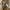 Gray, variant on EQWLJWE Women's One Shoulder Swimsuits Sexy One Piece Bathing Suit Monokini Swimsuit Cut Out One Piece Swimwear