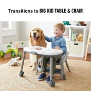 Graco Table2Table LX 6-in-1 Highchair, Arrows