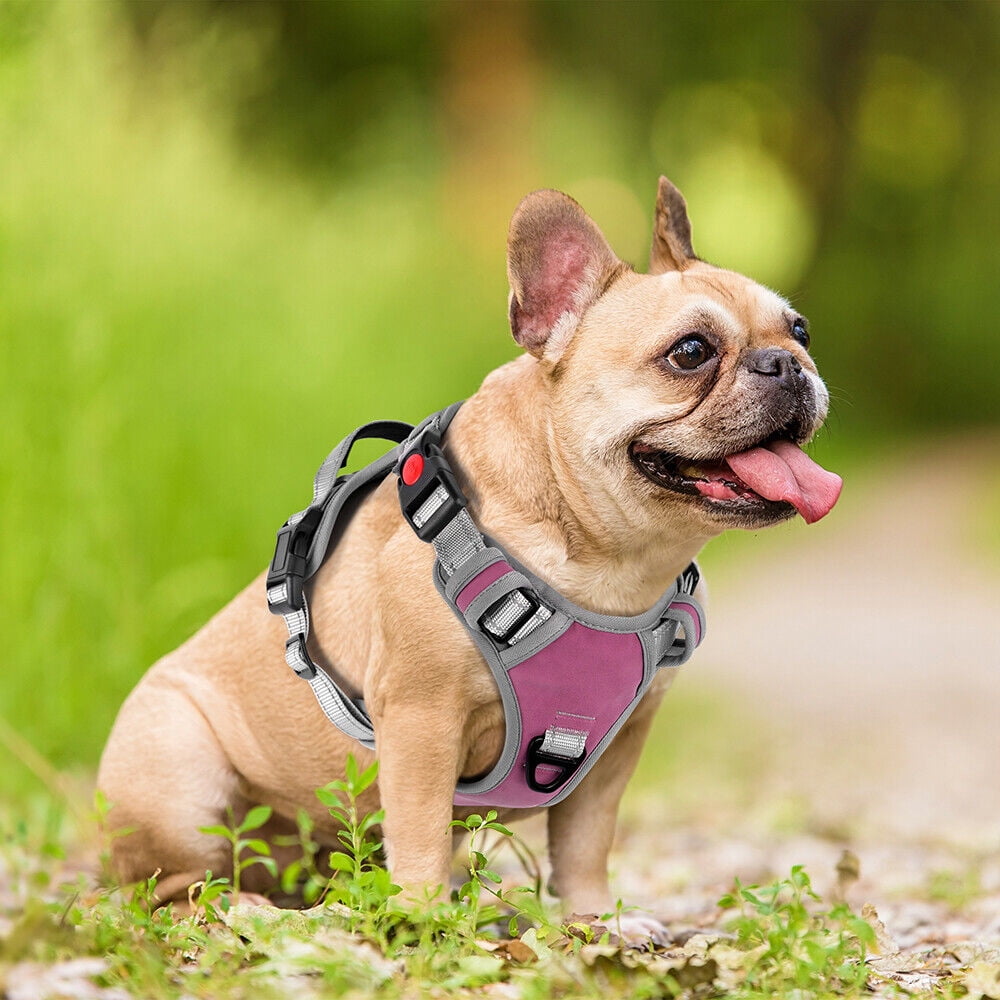 Pet Artist No Pull Dog Harness with Handle Adjustable Soft Padded Vest Reflective No-Choke