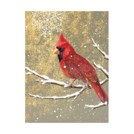 Color Art Print - Winter Birds Cardinal Color Print Wall Art By Beth Grove