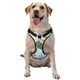 thumbnail image 1 of Balery Sea Animal Arnés para Perros Grandes Antitirones, Arnés con Correa para Gato, Arnés Tipo Chaleco para Perros Pequeños-Small, 1 of 6