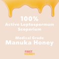 First Honey Adhesive Bandages Manuka Honey Medical Grade Pads Latex