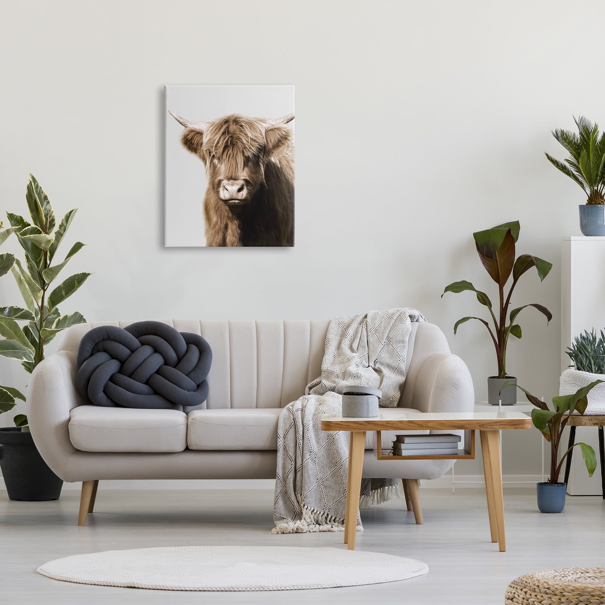 Stupell Industries Highland Cattle Close-Up Animals & Insects Photography Gallery Wrapped Canvas Art Print Wall Art, 24 x 30