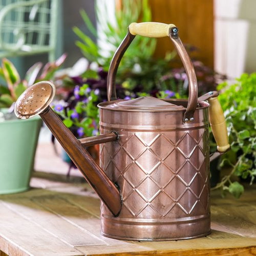 Evergreen Enterprises, Inc Diamond Pattern 0.8 Gallon Watering Can