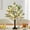 Black, variant on Easter Decorations Tree for Home Decor, Lighted Tabletop Tree with 24 Multicolor Painted Eggs, LED Artificial Tree Decor for Party, Bedroom, Classrooms (Black)