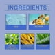 thumbnail image 4 of Bee Venom Nail Treatment Serum, Bee Venom Nail Fungus Treatment, Extra Strength Nail Repair Solution, Nail Fungus Care Solution, 4 of 5