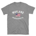 thumbnail image 1 of Wayland Massachusetts Patriot Men's Cotton T-Shirt, 1 of 1
