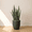 Black, variant on Ecobo 23.6 inches Eco-Friendly Round Pot Planter Ravina Indoor/Outdoor use, Durable, Versatile & Lightweight, Designed by Brazilian Artisans, Contemporary All-Weather Design –White