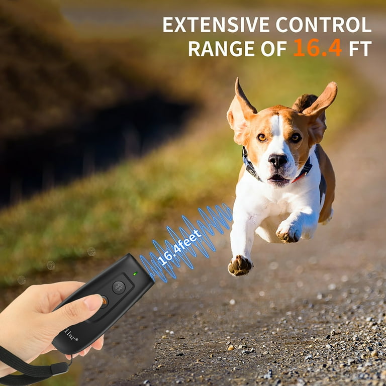 Animal My Neighbor's Dog Barks All Night What Can I Do Stop