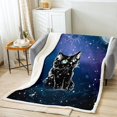 thumbnail image 2 of Cat Throw Blanket Black Cat Gifts 40"X50" Fuzzy Blanket Starry Galaxy Printing Fleece Blanket 3D Animal In Space Constellation Sherpa Blanket, 2 of 4