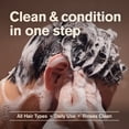 thumbnail image 6 of Every Man Jack Sandalwood Teak Daily 2-in-1 Shampoo and Conditioner for Men, Naturally Derived, 13.5 oz, 6 of 12