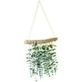 thumbnail image 2 of JTWEB Artificial Eucalyptus Wall Decor - Wall Hanging Eucalyptus Greenery Gives Any Room A Natural, Trendy, Modern Feel - Boho Bedroom Decorations, Bathroom Wall Decor, Kitchen Decorations, 2 of 6