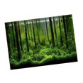 thumbnail image 3 of PVC Adhesive Waterproof Underwater Forest Tank Background Poster Decoration Paper for Aquarium Fish Tank, 3 of 7